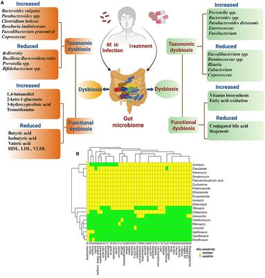 Host microbiome in tuberculosis: disease, treatment, and immunity perspectives